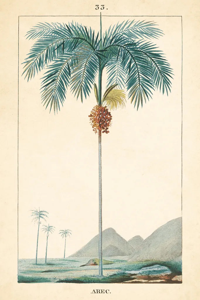 Palm Tree by Wild Apple Portfolio. SKU 88449h. Archival Giclee Fine art print for wall decor.