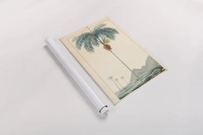 Palm Tree by Wild Apple Portfolio. shown as a rolled paper print. Available as archival giclee rolled canvas, fine art paper, or poster print. SKU 88449h.