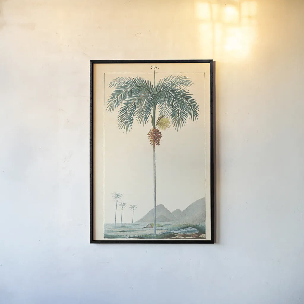 Palm Tree by Wild Apple Portfolio. shown as a paper print in a black flame. Available as a archival giclee rolled canvas, fine art paper, or poster print. SKU 88449h.