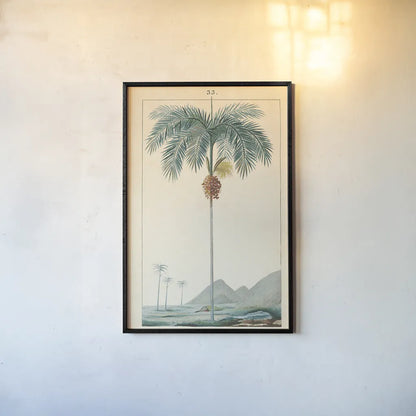 Palm Tree by Wild Apple Portfolio. shown as a paper print in a black flame. Available as a archival giclee rolled canvas, fine art paper, or poster print. SKU 88449h.
