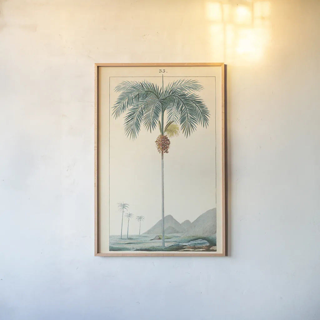 Palm Tree by Wild Apple Portfolio. shown as a paper print in a natural frame. Available as a archival giclee rolled canvas, fine art paper, or poster print. SKU 88449h.