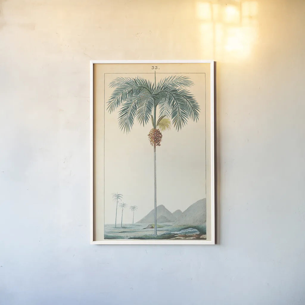 Palm Tree by Wild Apple Portfolio. shown as a paper print in a white frame. Available as a archival giclee rolled canvas, fine art paper, or poster print. SKU 88449h.