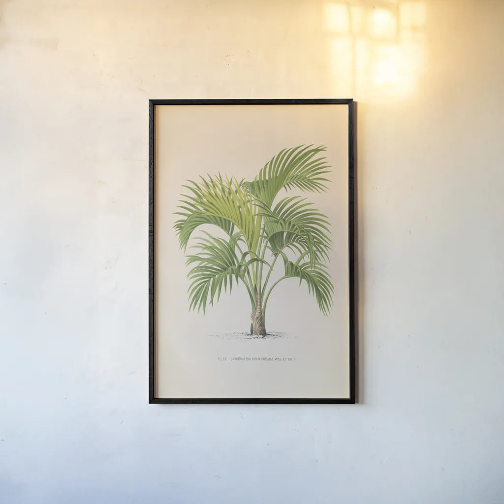 Palmier PL IX by Wild Apple Portfolio. shown as a paper print in a black flame. Available as a archival giclee rolled canvas, fine art paper, or poster print. SKU 23312h.