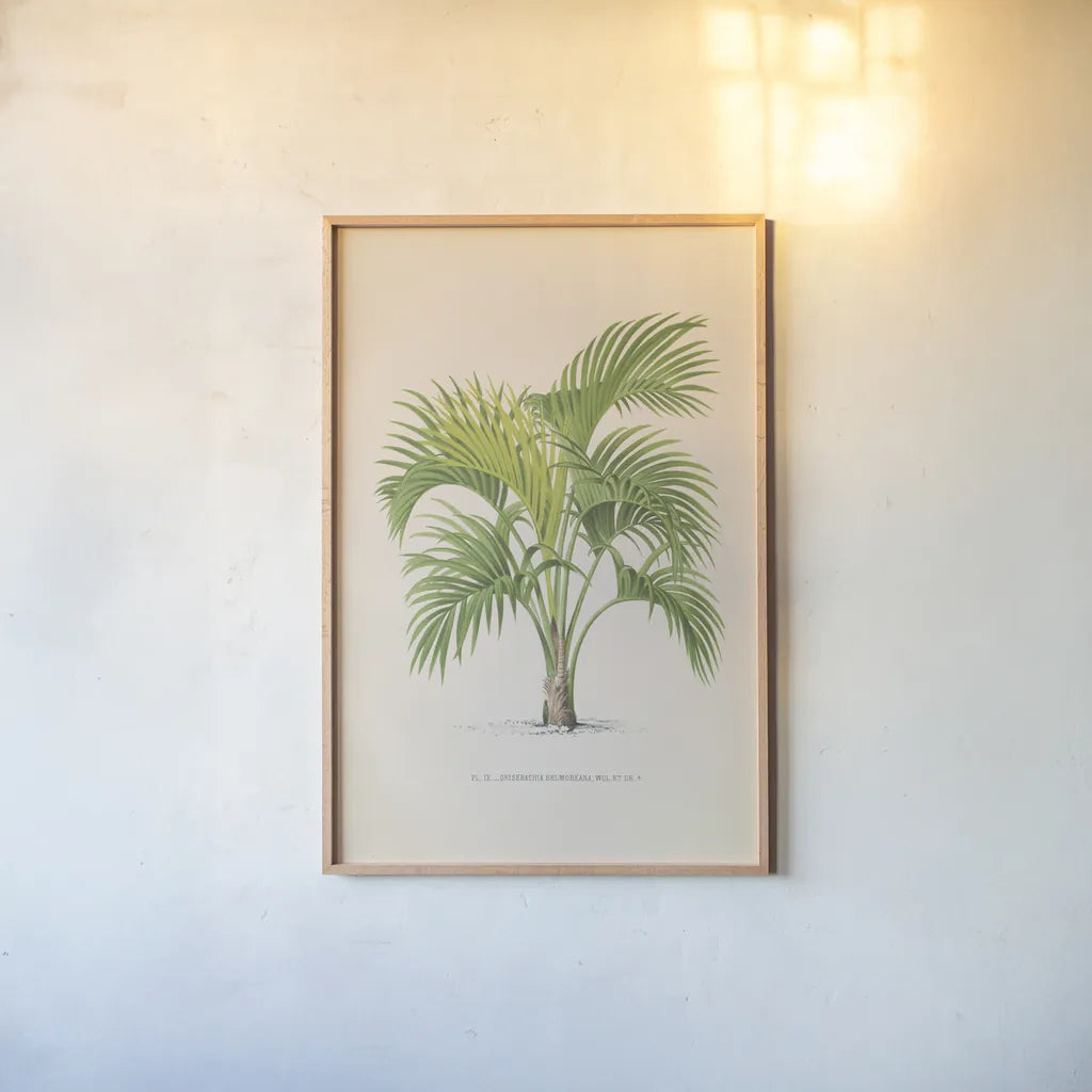 Palmier PL IX by Wild Apple Portfolio. shown as a paper print in a natural frame. Available as a archival giclee rolled canvas, fine art paper, or poster print. SKU 23312h.