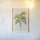 Palmier PL IX by Wild Apple Portfolio. shown as a paper print in a white frame. Available as a archival giclee rolled canvas, fine art paper, or poster print. SKU 23312h.