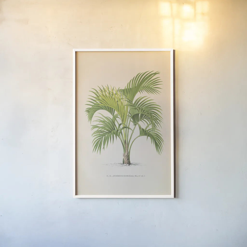 Palmier PL IX by Wild Apple Portfolio. shown as a paper print in a white frame. Available as a archival giclee rolled canvas, fine art paper, or poster print. SKU 23312h.