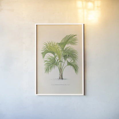 Palmier PL IX by Wild Apple Portfolio. shown as a paper print in a white frame. Available as a archival giclee rolled canvas, fine art paper, or poster print. SKU 23312h.