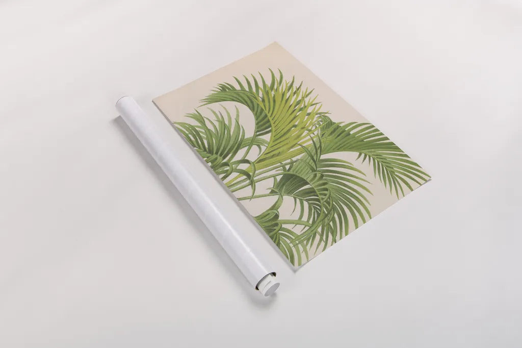 Palmier PL IX Crop by Wild Apple Portfolio. shown as a rolled paper print. Available as archival giclee rolled canvas, fine art paper, or poster print. SKU 25318i.