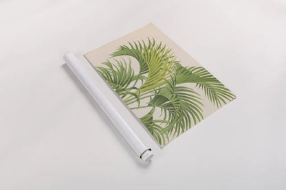 Palmier PL IX Crop by Wild Apple Portfolio. shown as a rolled paper print. Available as archival giclee rolled canvas, fine art paper, or poster print. SKU 25318i.