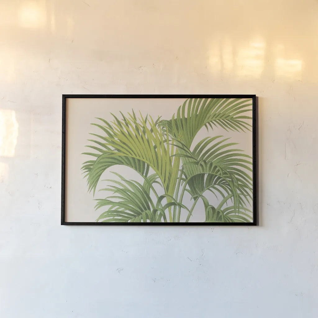 Palmier PL IX Crop by Wild Apple Portfolio. shown as a paper print in a black flame. Available as a archival giclee rolled canvas, fine art paper, or poster print. SKU 25318i.