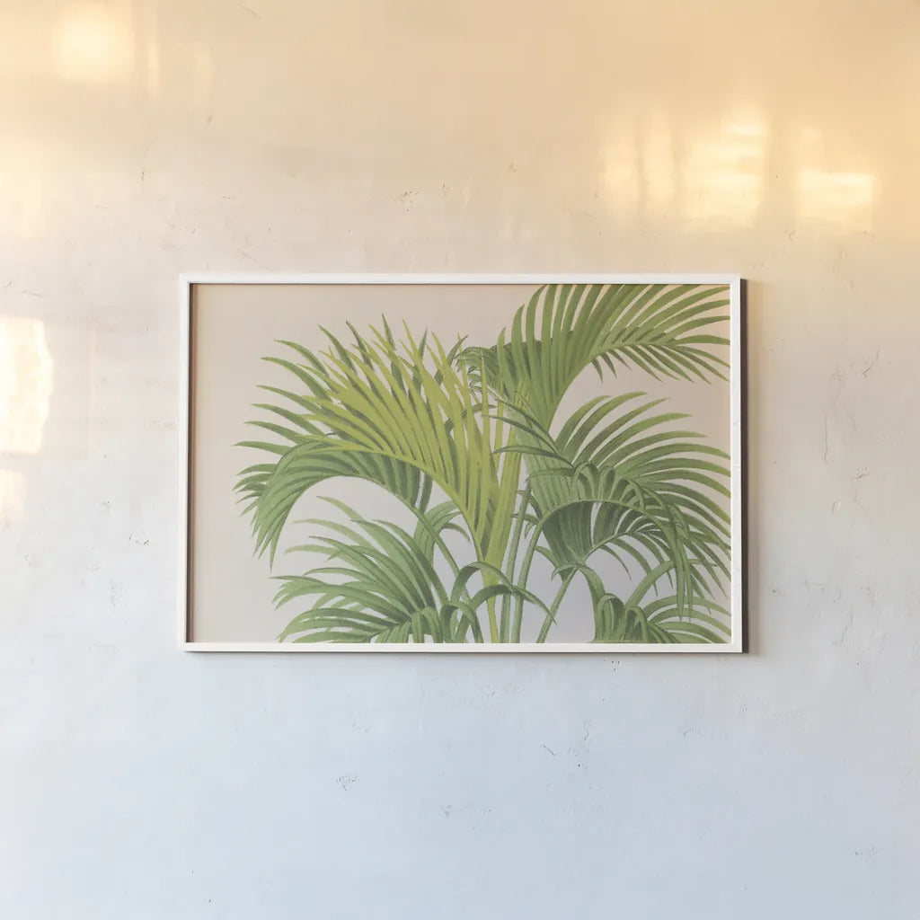 Palmier PL IX Crop by Wild Apple Portfolio. shown as a paper print in a white frame. Available as a archival giclee rolled canvas, fine art paper, or poster print. SKU 25318i.