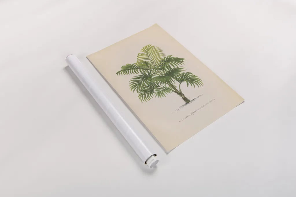 Palmier PL X by Wild Apple Portfolio. shown as a rolled paper print. Available as archival giclee rolled canvas, fine art paper, or poster print. SKU 25319h.