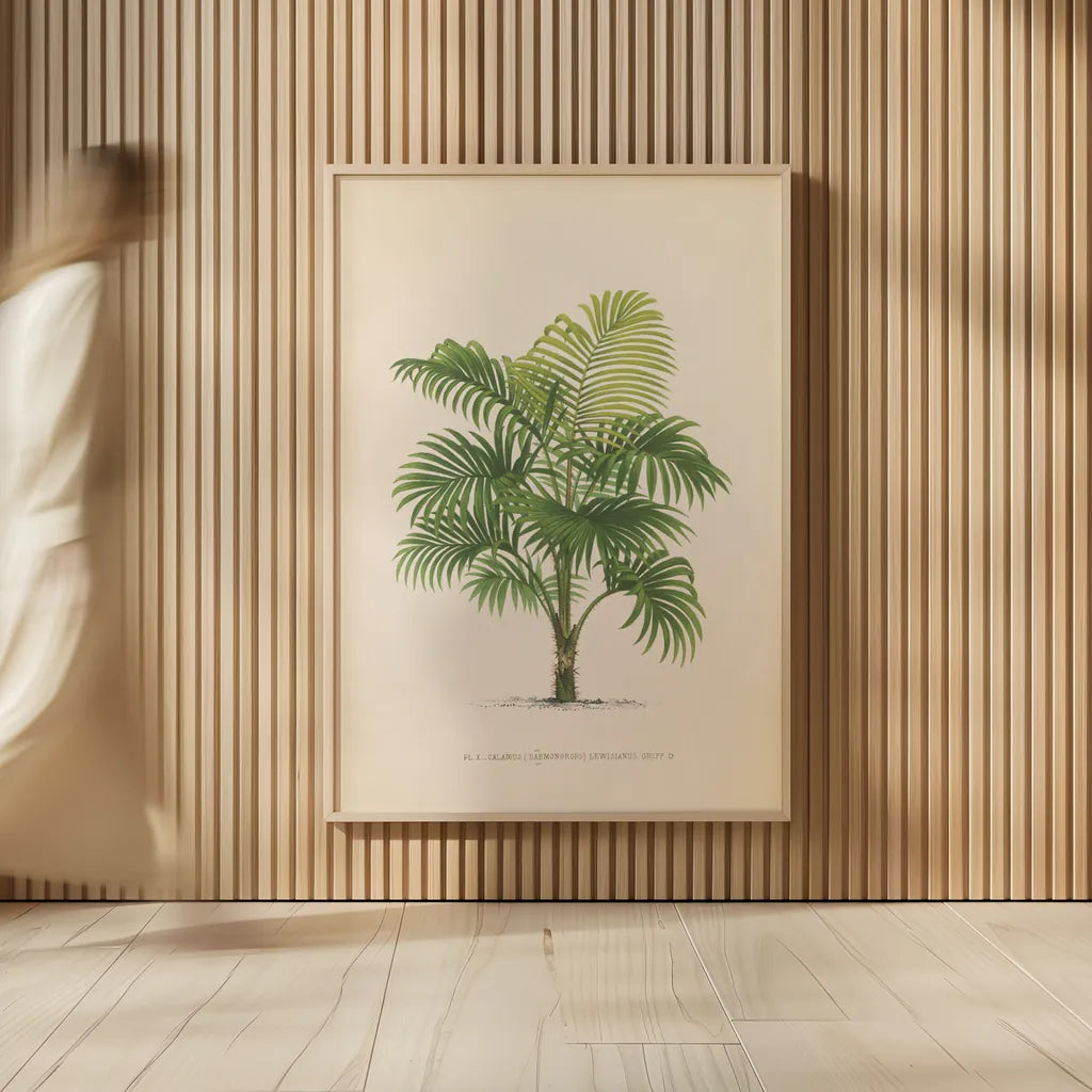 Palmier PL X by Wild Apple Portfolio. shown as over sized large wall art. Available as an archival giclee rolled canvas, fine art paper, or poster print. SKU 25319h.
