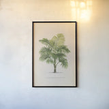 Palmier PL X by Wild Apple Portfolio. shown as a paper print in a black flame. Available as a archival giclee rolled canvas, fine art paper, or poster print. SKU 25319h.