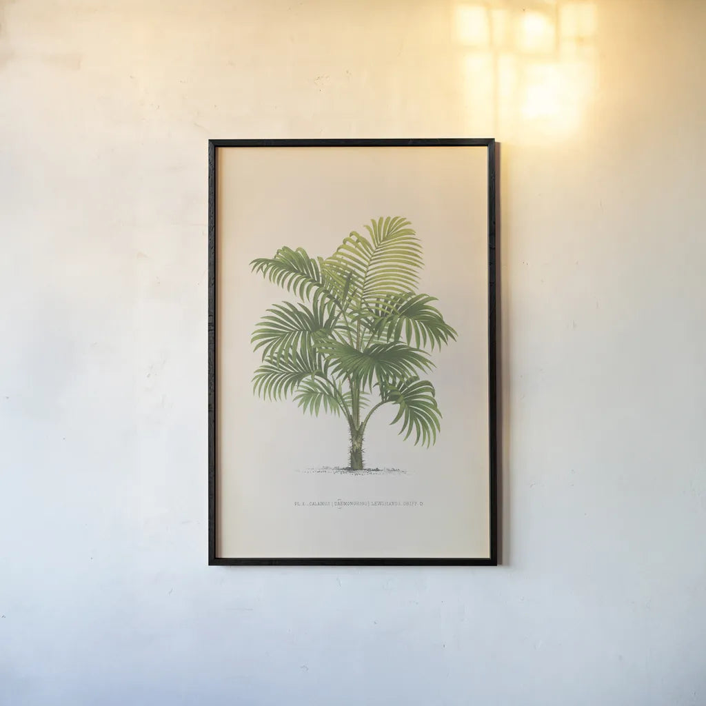 Palmier PL X by Wild Apple Portfolio. shown as a paper print in a black flame. Available as a archival giclee rolled canvas, fine art paper, or poster print. SKU 25319h.