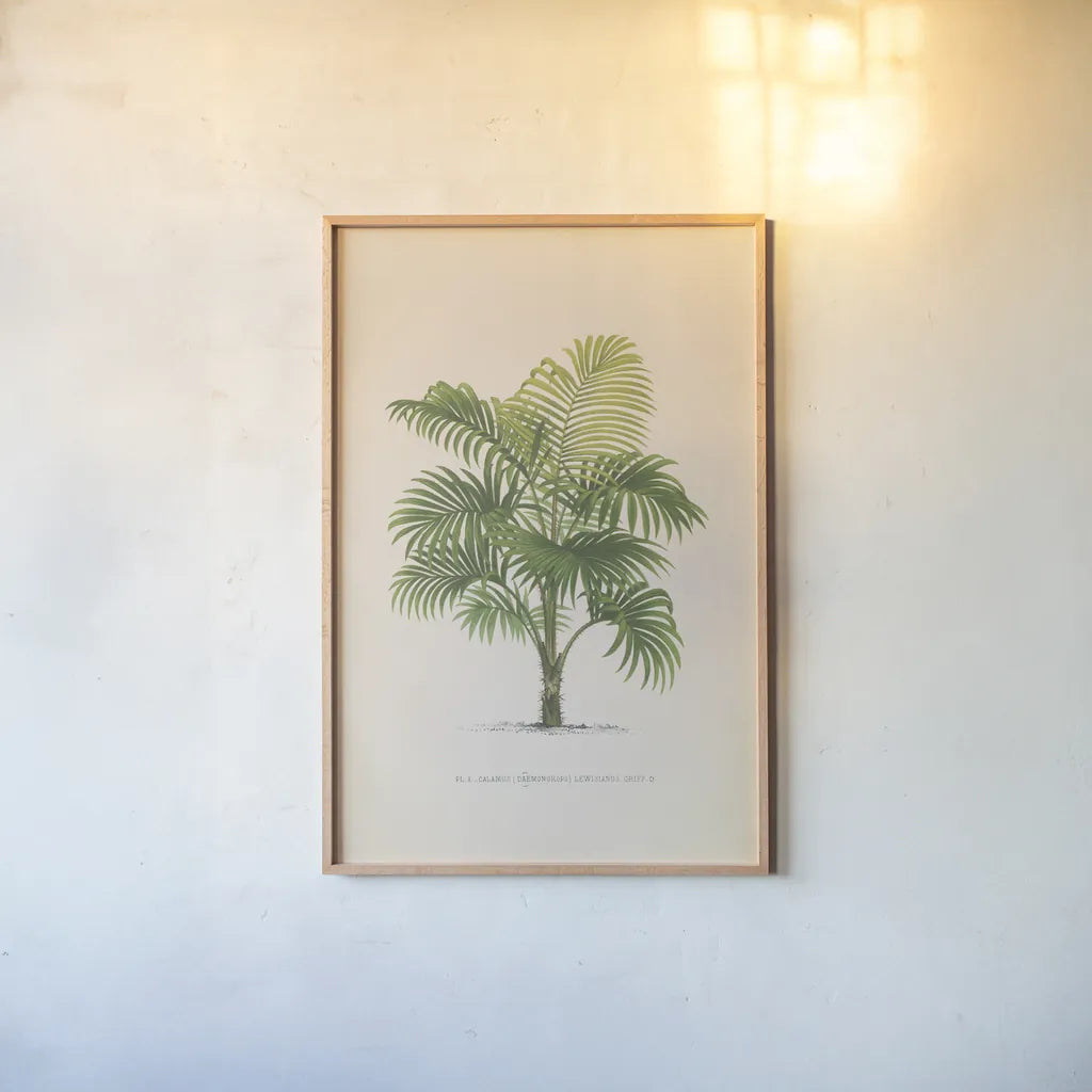 Palmier PL X by Wild Apple Portfolio. shown as a paper print in a natural frame. Available as a archival giclee rolled canvas, fine art paper, or poster print. SKU 25319h.
