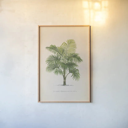 Palmier PL X by Wild Apple Portfolio. shown as a paper print in a natural frame. Available as a archival giclee rolled canvas, fine art paper, or poster print. SKU 25319h.