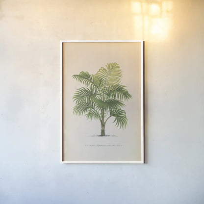 Palmier PL X by Wild Apple Portfolio. shown as a paper print in a white frame. Available as a archival giclee rolled canvas, fine art paper, or poster print. SKU 25319h.