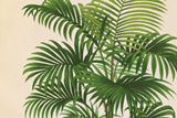 Palmier PL X Crop by Wild Apple Portfolio. SKU 25319i. Archival Giclee Fine art print for wall decor.