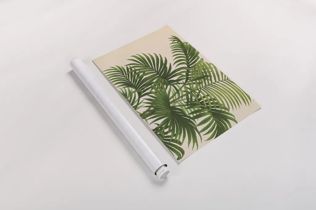 Palmier PL X Crop by Wild Apple Portfolio. shown as a rolled paper print. Available as archival giclee rolled canvas, fine art paper, or poster print. SKU 25319i.