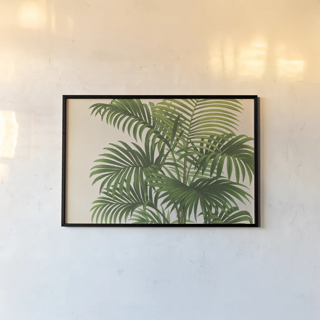 Palmier PL X Crop by Wild Apple Portfolio. shown as a paper print in a black flame. Available as a archival giclee rolled canvas, fine art paper, or poster print. SKU 25319i.