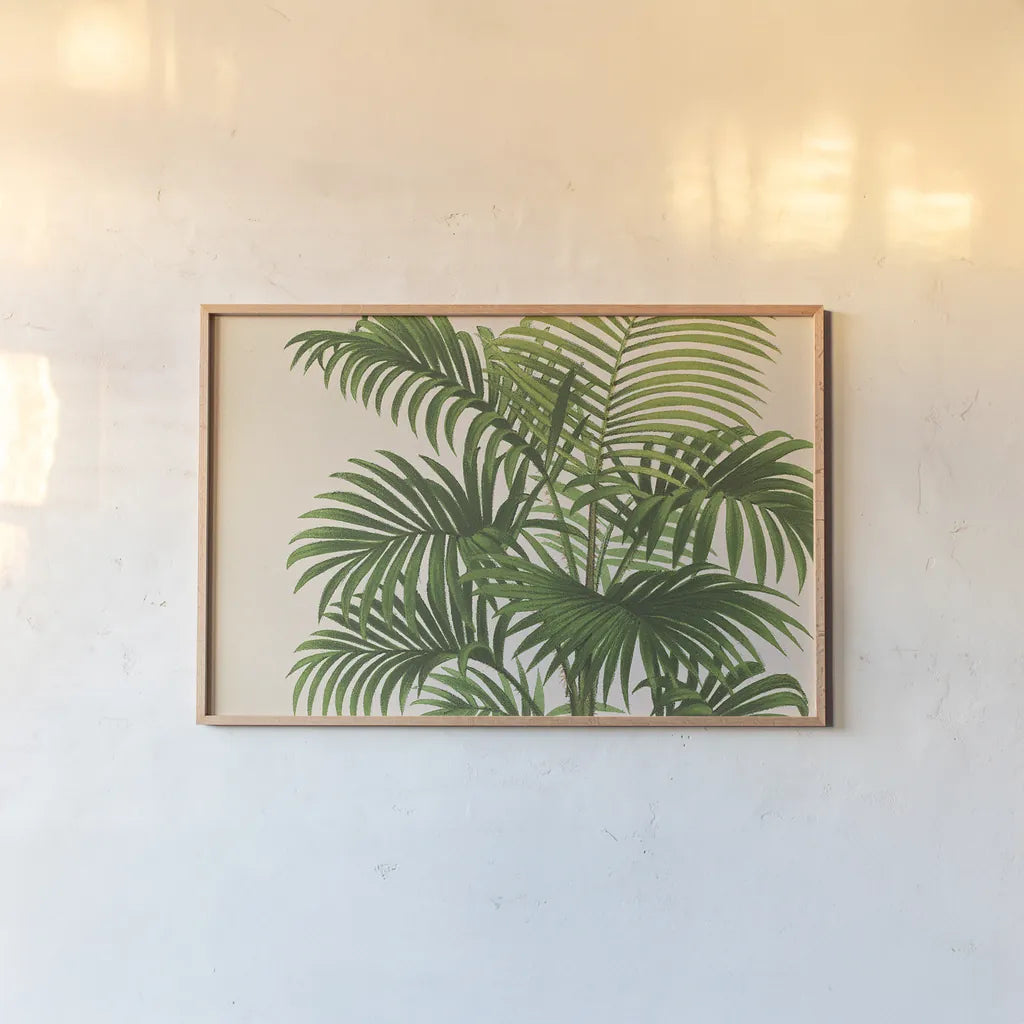 Palmier PL X Crop by Wild Apple Portfolio. shown as a paper print in a natural frame. Available as a archival giclee rolled canvas, fine art paper, or poster print. SKU 25319i.