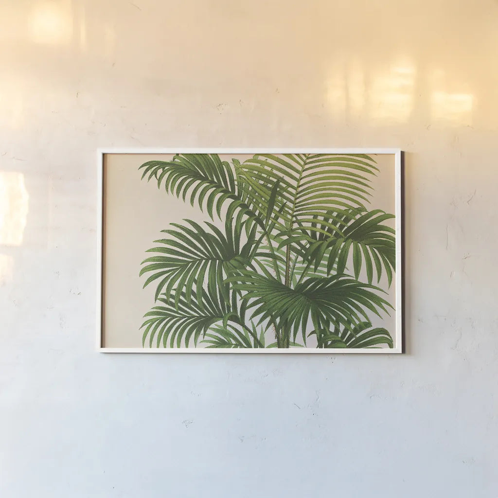 Palmier PL X Crop by Wild Apple Portfolio. shown as a paper print in a white frame. Available as a archival giclee rolled canvas, fine art paper, or poster print. SKU 25319i.