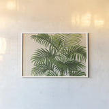 Palmier PL X Crop by Wild Apple Portfolio. shown as a paper print in a white frame. Available as a archival giclee rolled canvas, fine art paper, or poster print. SKU 25319i.