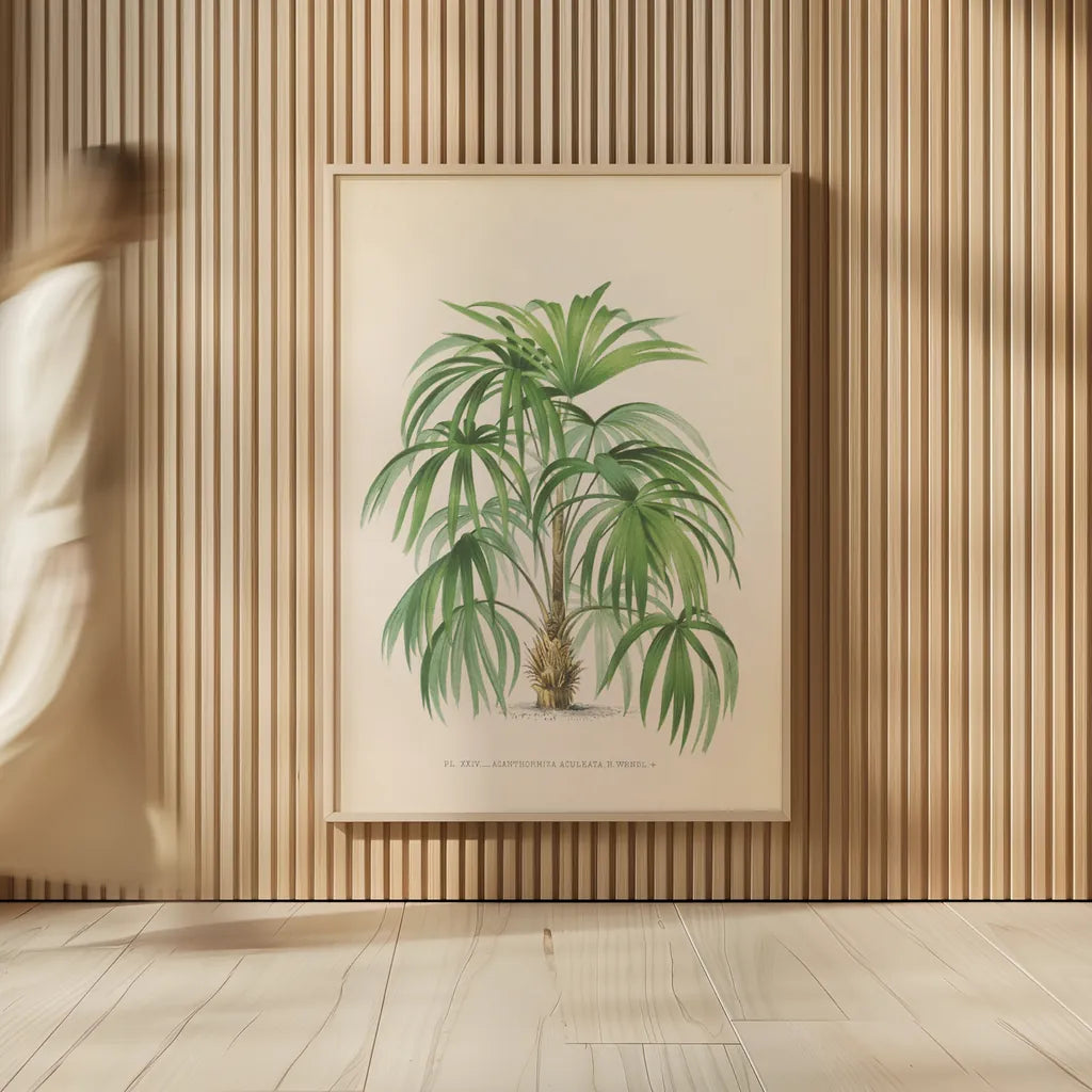 Palmier PL XXIV by Wild Apple Portfolio. shown as over sized large wall art. Available as an archival giclee rolled canvas, fine art paper, or poster print. SKU 25320h.