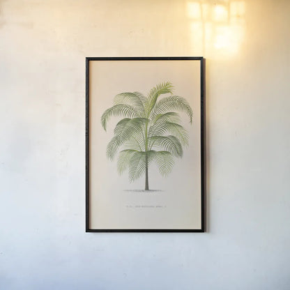 Palmier PL. XL by Wild Apple Portfolio. shown as a paper print in a black flame. Available as a archival giclee rolled canvas, fine art paper, or poster print. SKU 94941h.