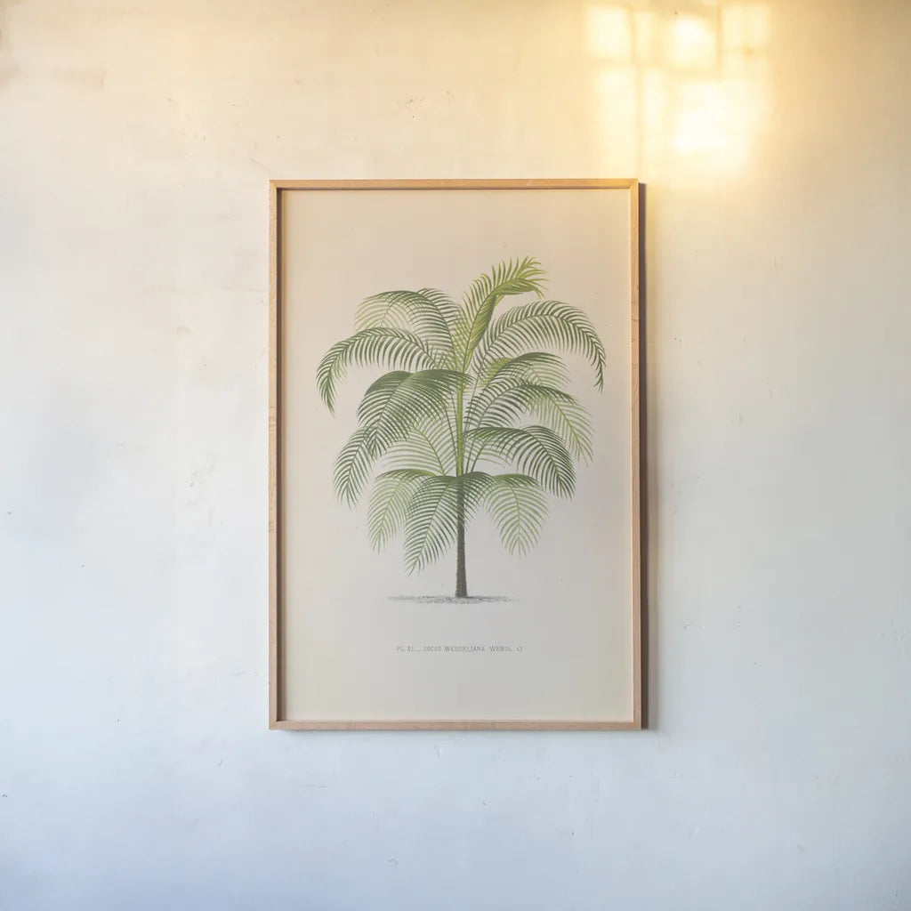 Palmier PL. XL by Wild Apple Portfolio. shown as a paper print in a natural frame. Available as a archival giclee rolled canvas, fine art paper, or poster print. SKU 94941h.