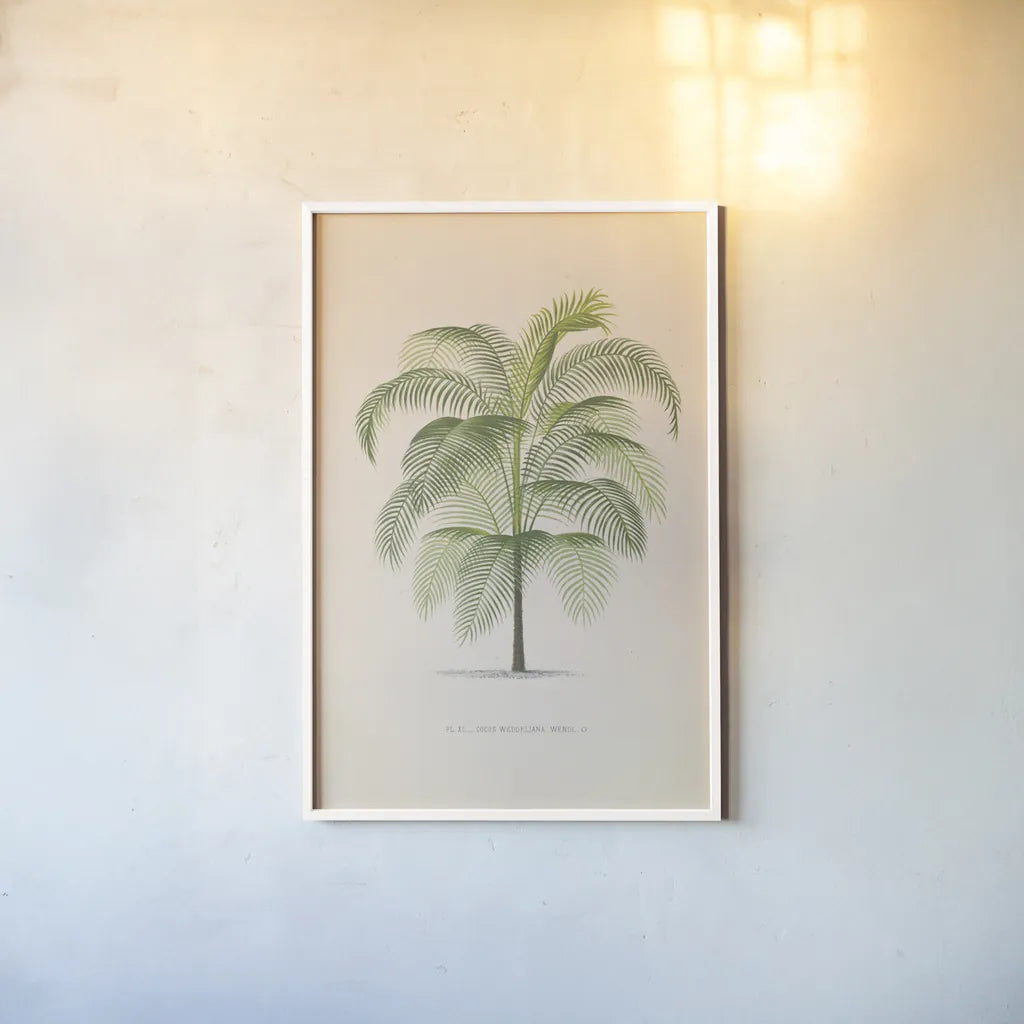 Palmier PL. XL by Wild Apple Portfolio. shown as a paper print in a white frame. Available as a archival giclee rolled canvas, fine art paper, or poster print. SKU 94941h.
