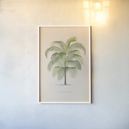 Palmier PL. XL by Wild Apple Portfolio. shown as a paper print in a white frame. Available as a archival giclee rolled canvas, fine art paper, or poster print. SKU 94941h.