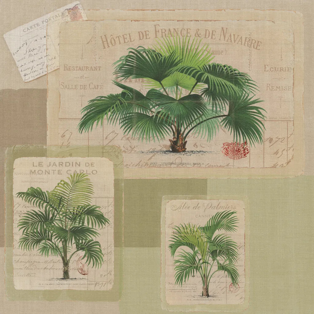 Palmiers Pattern VIII by Wild Apple Portfolio. SKU 94766a. Archival Giclee Fine art print for wall decor.