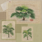 Palmiers Pattern VIII by Wild Apple Portfolio. SKU 94766a. Archival Giclee Fine art print for wall decor.