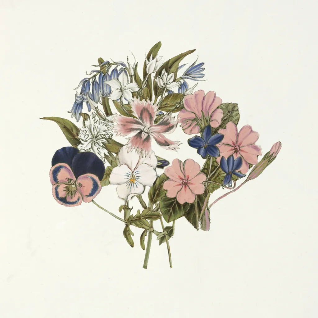 Pansy Party I Honeybloom by Wild Apple Portfolio. SKU 90828a. Archival Giclee Fine art print for wall decor.