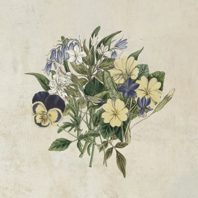 Pansy Party I Textured by Wild Apple Portfolio. SKU 88634a. Archival Giclee Fine art print for wall decor.