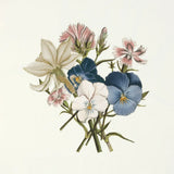 Pansy Party II Honeybloom by Wild Apple Portfolio. SKU 90829a. Archival Giclee Fine art print for wall decor.