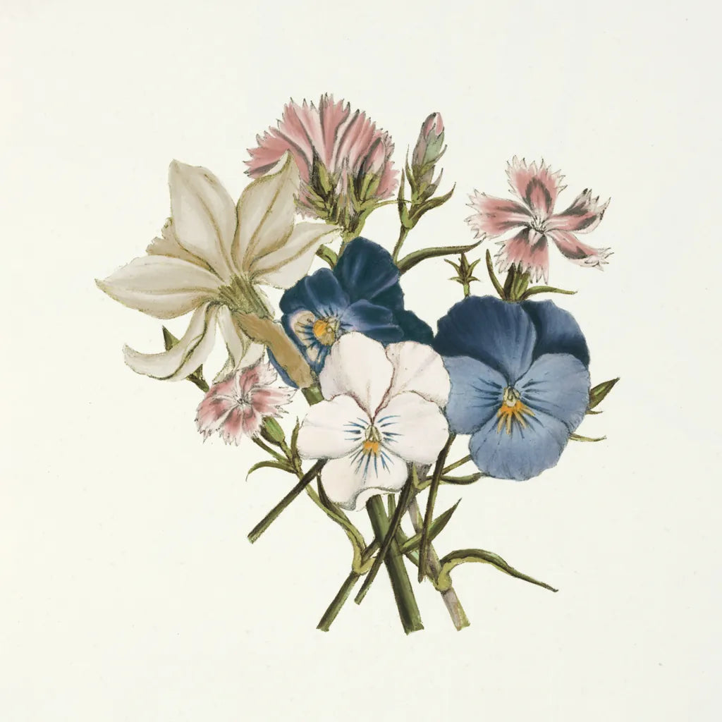 Pansy Party II Honeybloom by Wild Apple Portfolio. SKU 90829a. Archival Giclee Fine art print for wall decor.