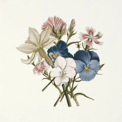 Pansy Party II Honeybloom by Wild Apple Portfolio. SKU 90829a. Archival Giclee Fine art print for wall decor.