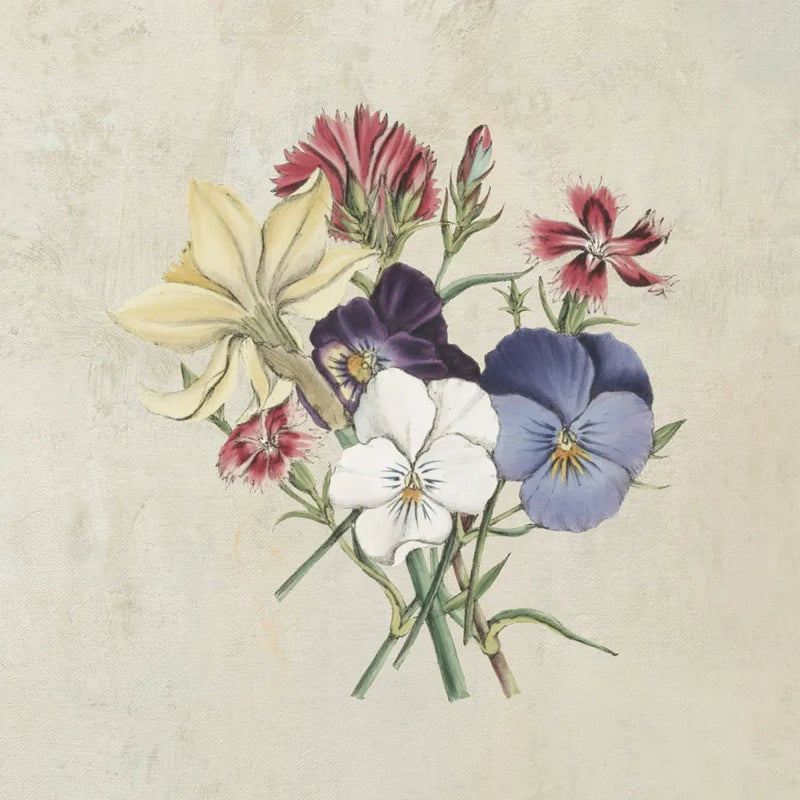 Pansy Party II Textured by Wild Apple Portfolio. SKU 88635a. Archival Giclee Fine art print for wall decor.