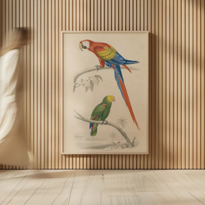 Parrot Study by Wild Apple Portfolio. shown as over sized large wall art. Available as an archival giclee rolled canvas, fine art paper, or poster print. SKU 77434h.
