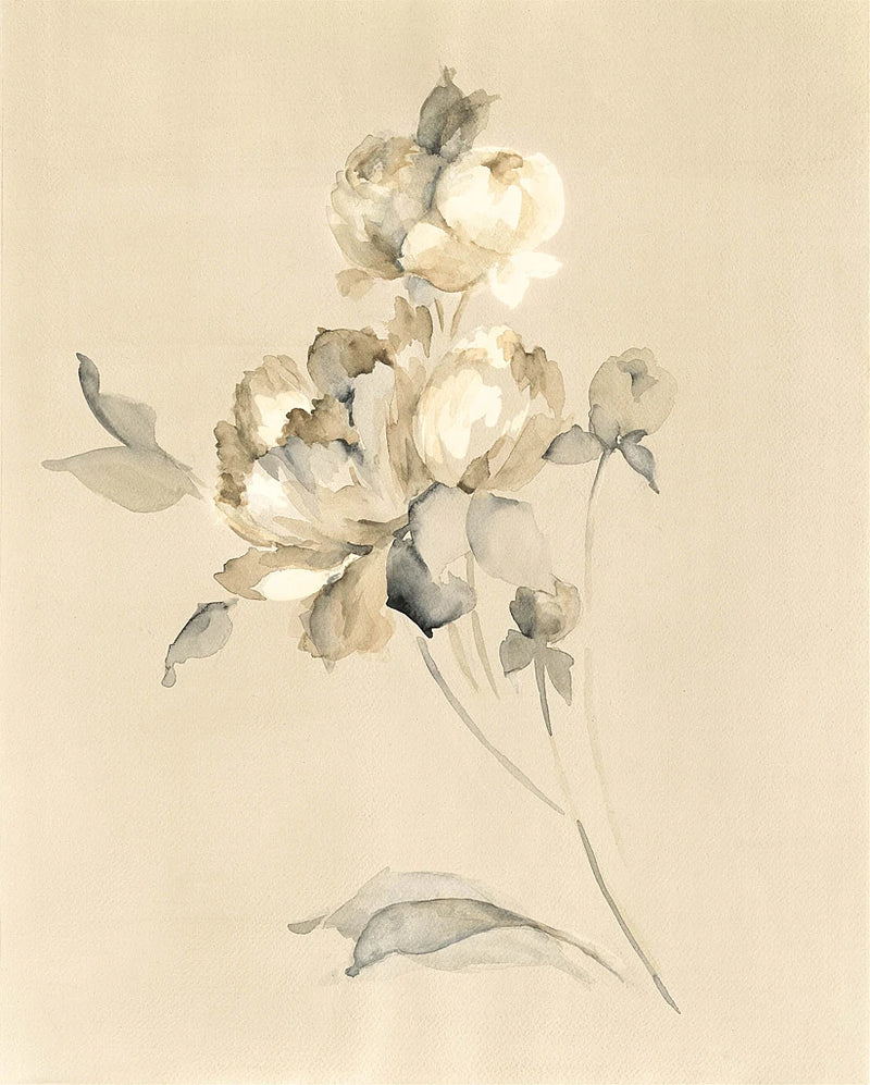 Peony Blossoms by Wild Apple Portfolio