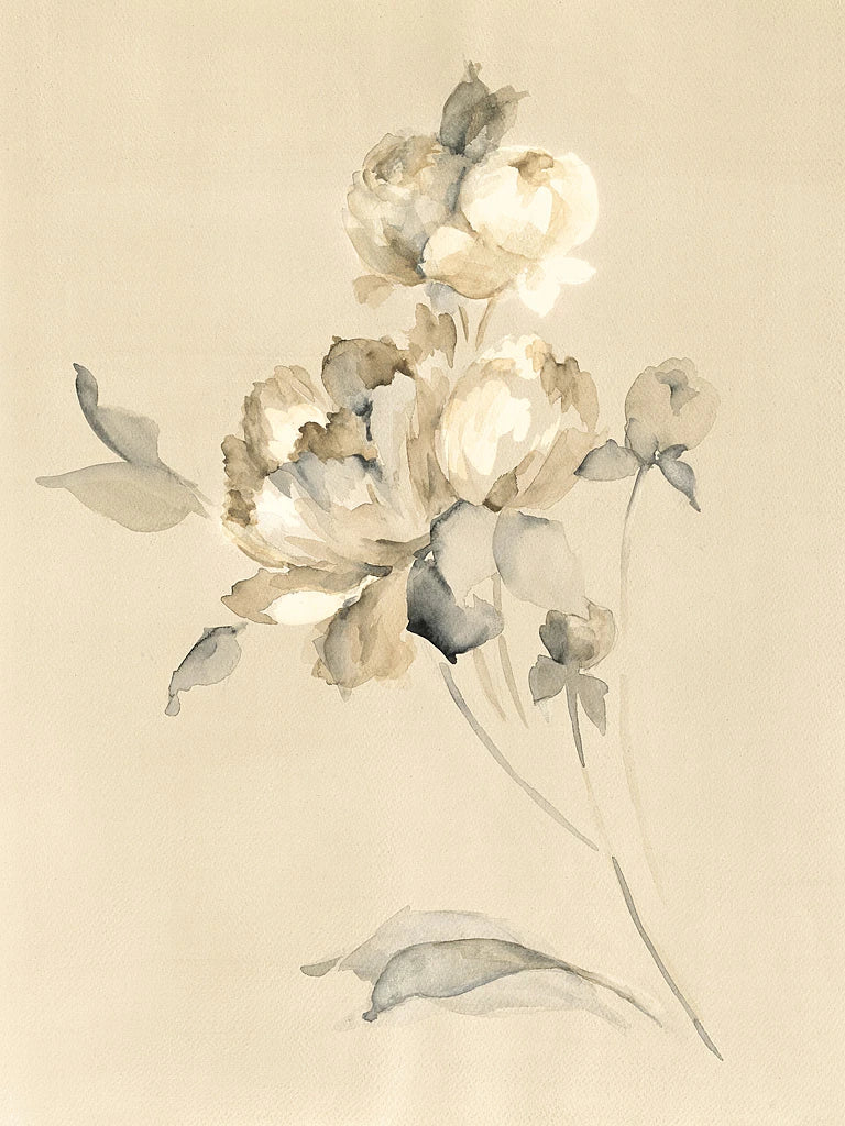 Peony Blossoms by Wild Apple Portfolio