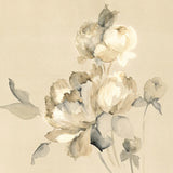 Peony Blossoms Crop by Wild Apple Portfolio. SKU 15598a. Archival Giclee Fine art print for wall decor.
