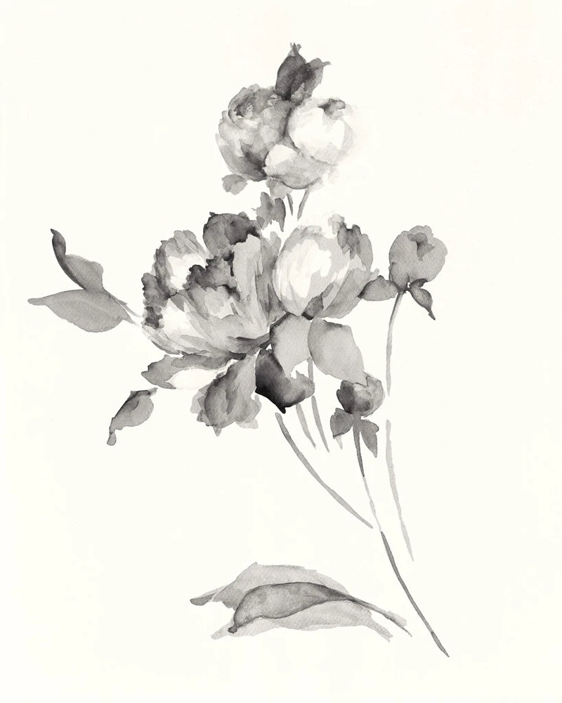 Peony Blossoms Gray by Wild Apple Portfolio