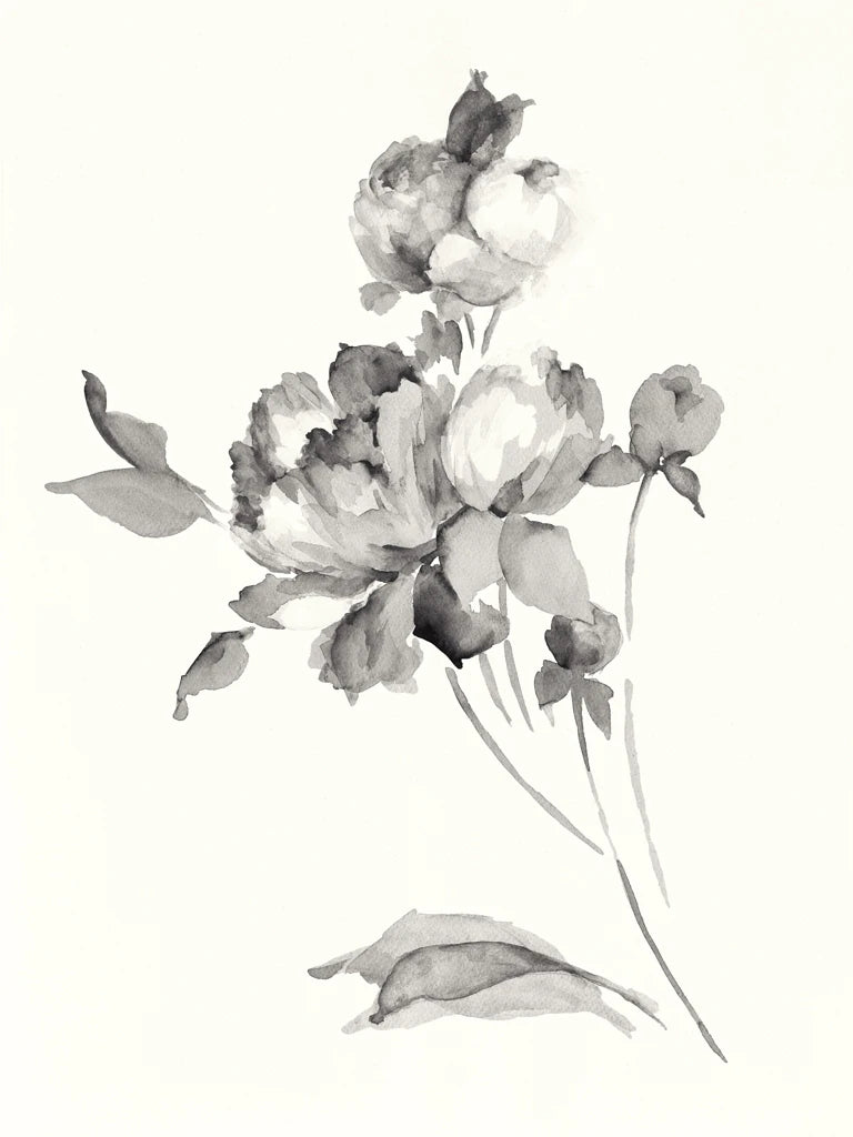 Peony Blossoms Gray Crop by Wild Apple Portfolio