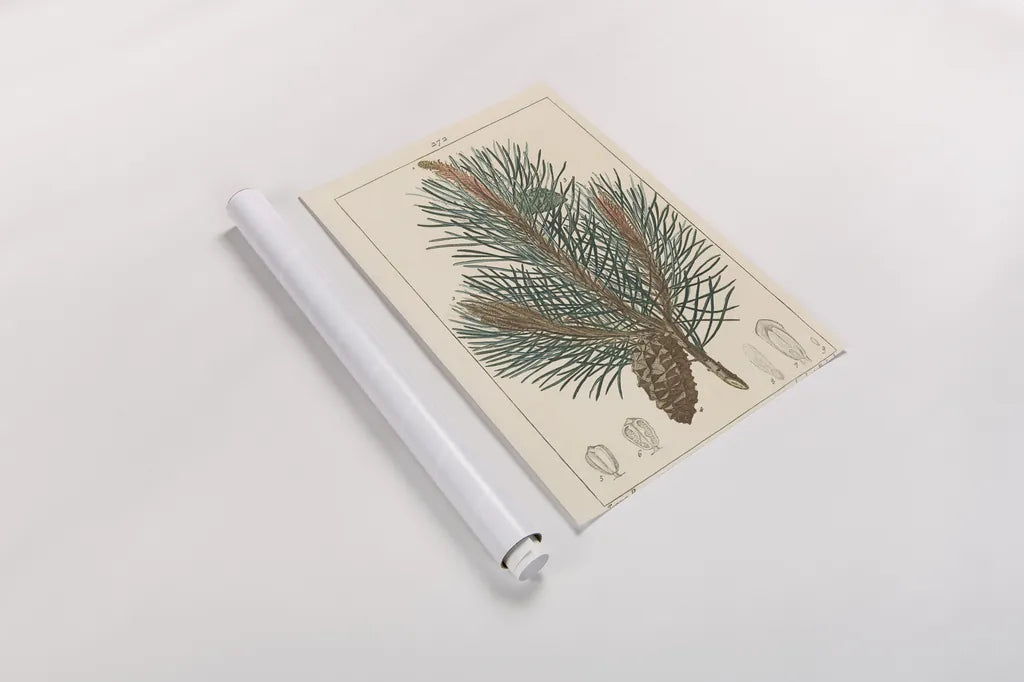 Pin Drawing by Wild Apple Portfolio. shown as a rolled paper print. Available as archival giclee rolled canvas, fine art paper, or poster print. SKU 48459h.