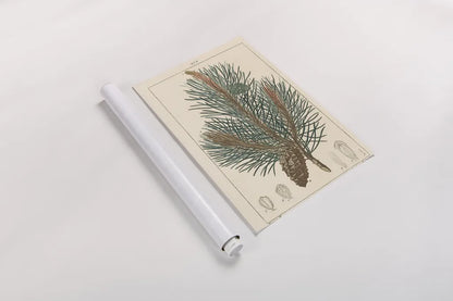 Pin Drawing by Wild Apple Portfolio. shown as a rolled paper print. Available as archival giclee rolled canvas, fine art paper, or poster print. SKU 48459h.