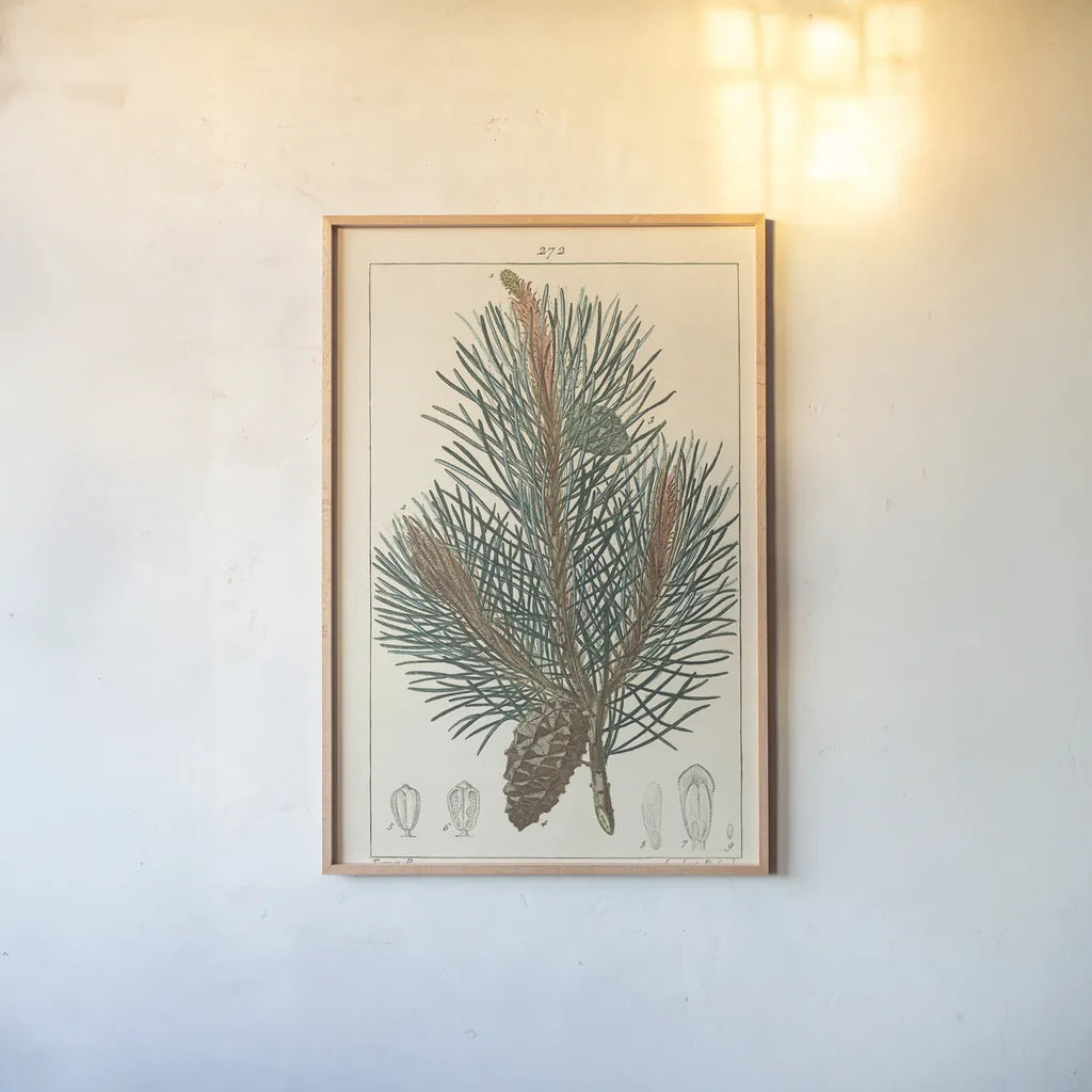 Pin Drawing by Wild Apple Portfolio. shown as a paper print in a natural frame. Available as a archival giclee rolled canvas, fine art paper, or poster print. SKU 48459h.